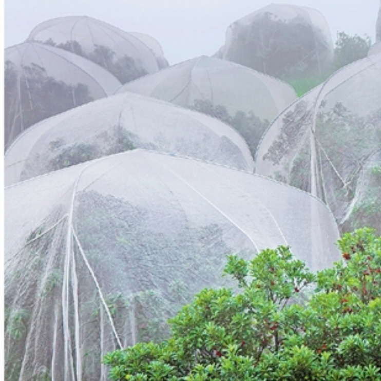 The poroblem that should pay attention to when installing Anti-insect Net