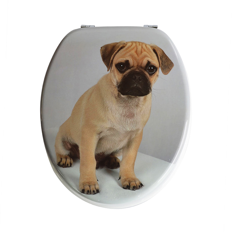 Considerations commonly associated with luxury toilet seats