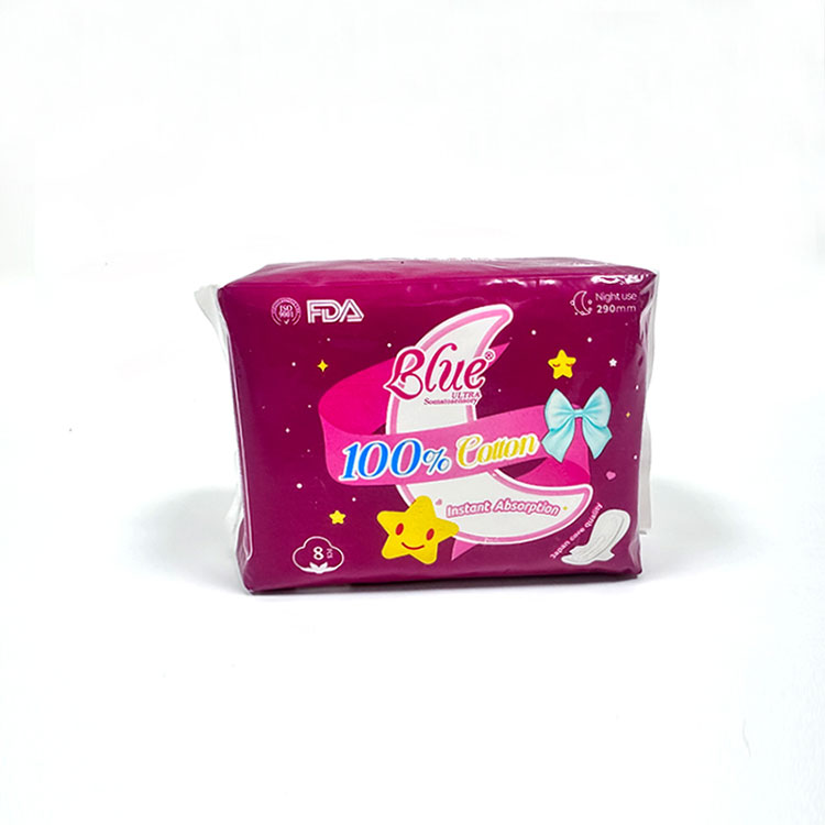 Key Features of Regular Sanitary Napkins