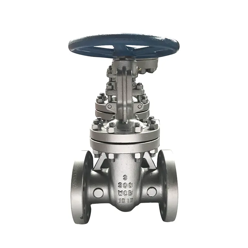 What Are Gate Valves and Why Are They Widely Used?