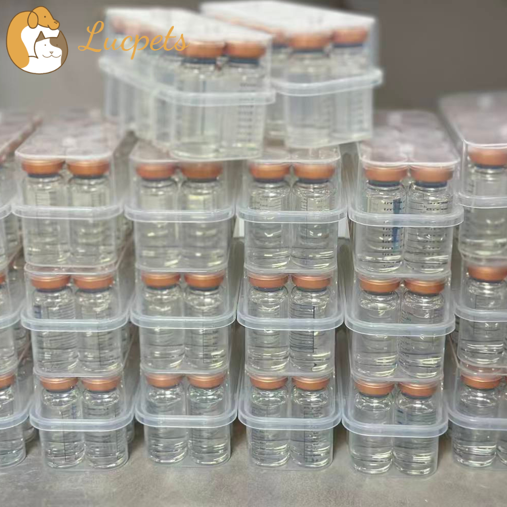 OEM Feline GS-441524 for FIP Treatment in Cats - A Complete Guide
